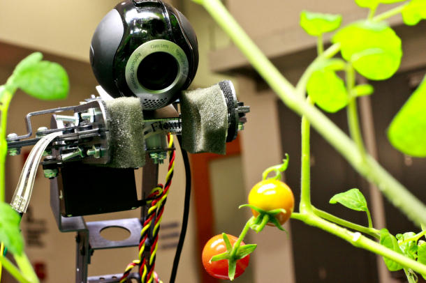 photo of gardening robot from MIT's Distributed Robotics Laboratory
