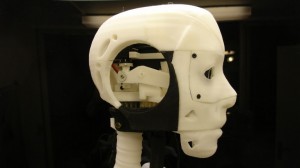assembled head of Gael Langevin's animatronic InMoov robot