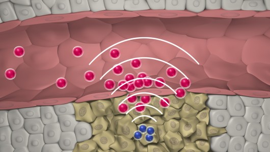 communicating-nanoparticles