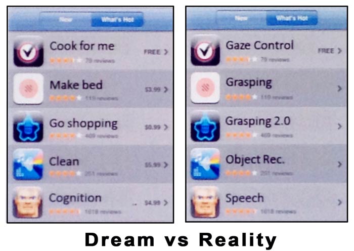 reality-slide-from-icub
