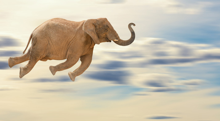 flying_elephant
