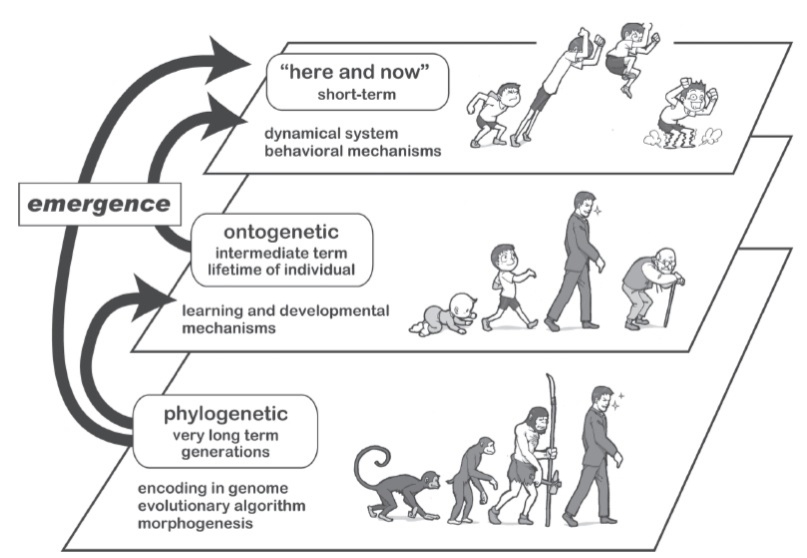 EvoTimeScales