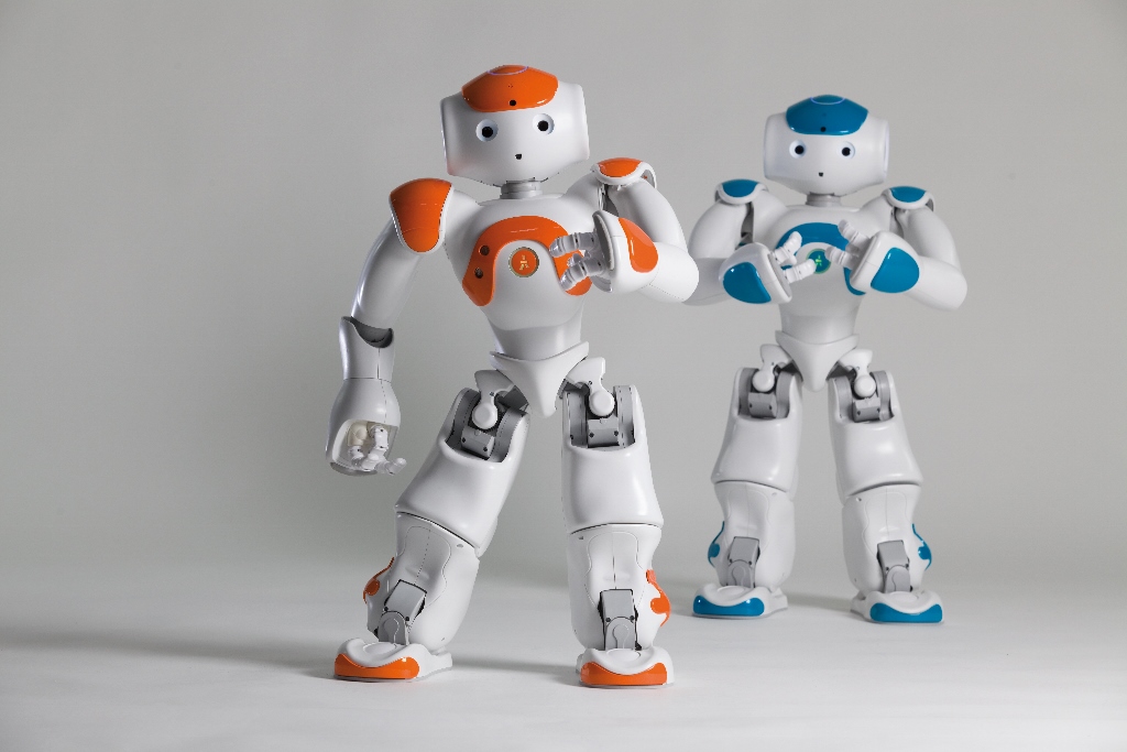 udstilling krabbe bryder daggry NAO Next Gen now available for a wider audience - Robohub