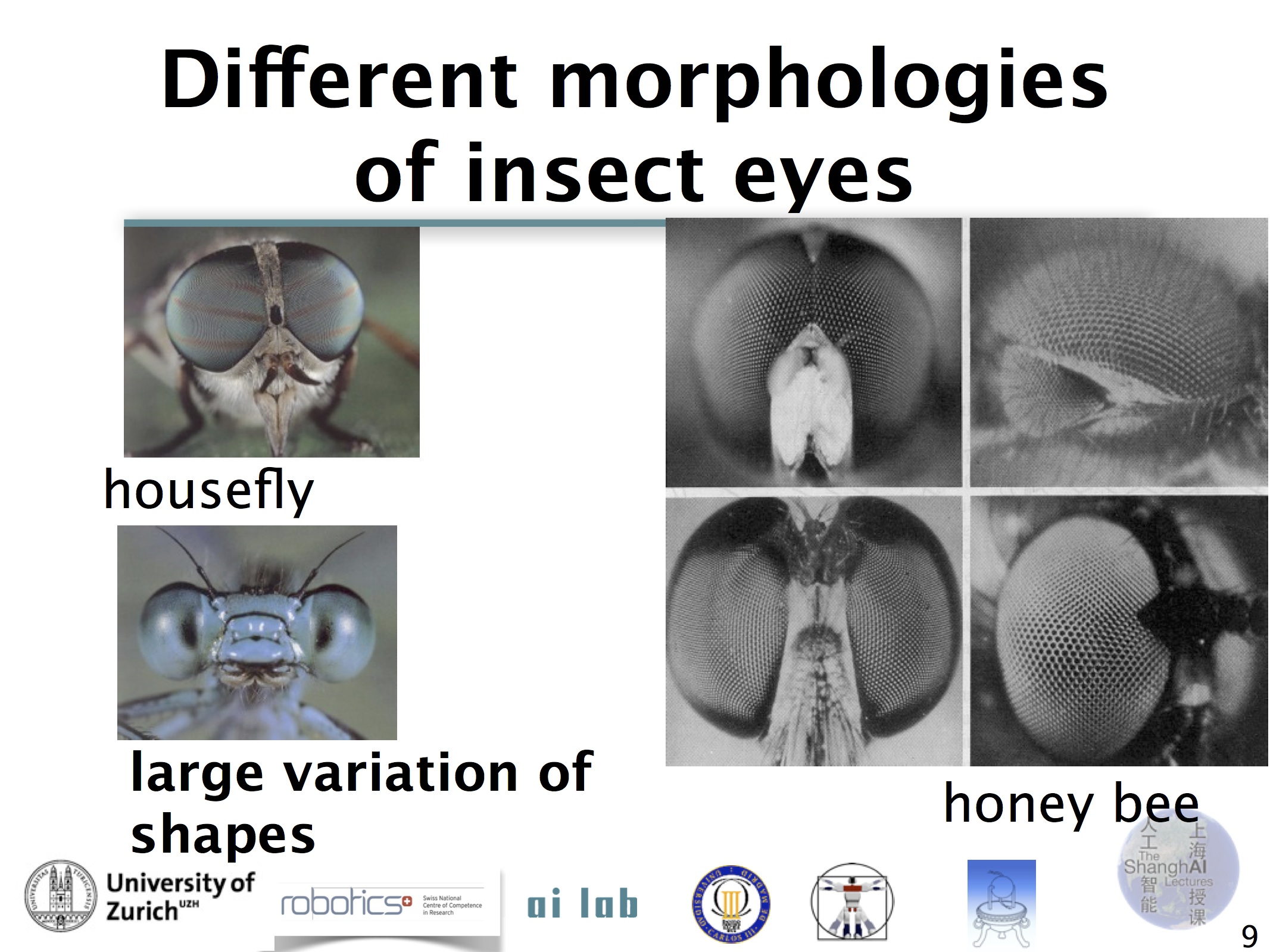 Lecture09SlidesFabsShEyesjpg