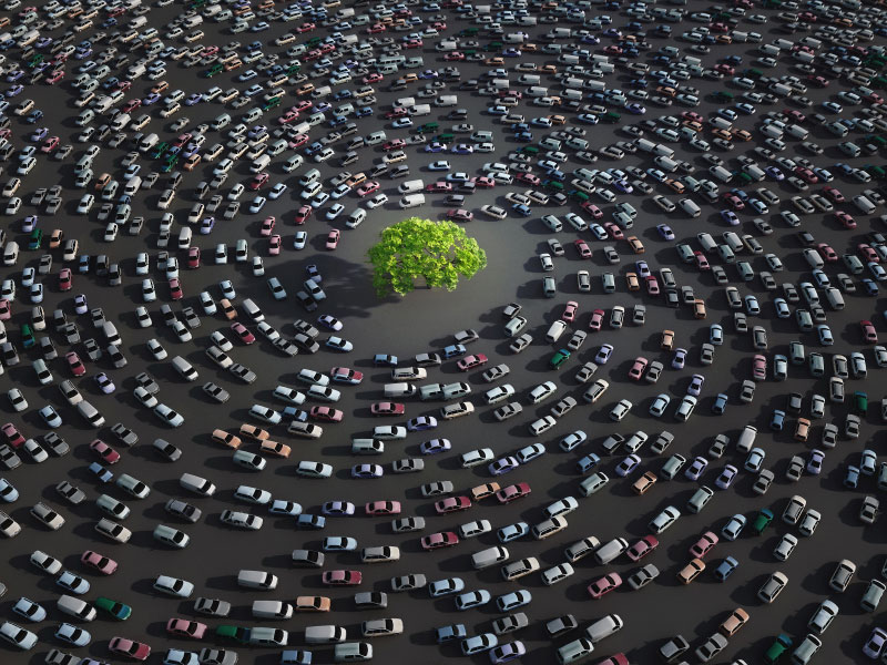 cars_traffic_aerial_tree