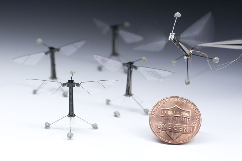  Inspired by the biology of a fly, with submillimeter-scale anatomy and two wafer-thin wings that flap almost invisibly, 120 times per second, the Robobee takes its first controlled flight. The culmination of a decade's work, RoboBees achieve vertical takeoff, hovering, and steering. Credit: Kevin Ma and Pakpong Chirarattananon