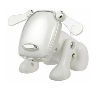 iDog