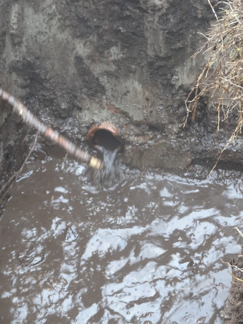 One drainage system at the site is thought to have been in place, removing water and thus drying the terrain, for around 50 years. The system was deactivated as part of the project.