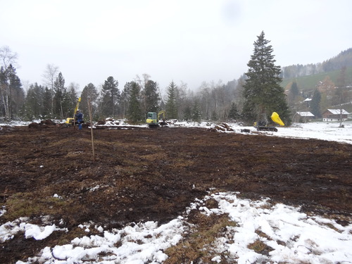 Creating the site’s second and third terraces, work which immediately increased the amount of standing water on the site.