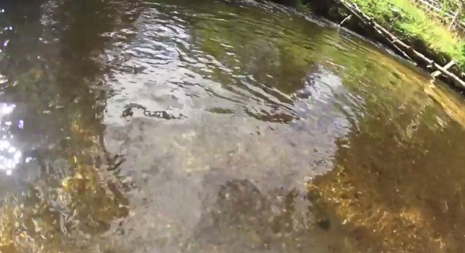 TYOC 15 52 TRAILER LilyCam in a wild river   YouTube