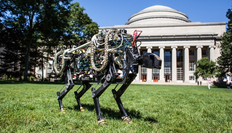 This Cheetah Robot Taught Itself How to Sprint in a Weird Way