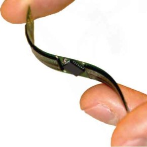 Flexible array with eyes embedded