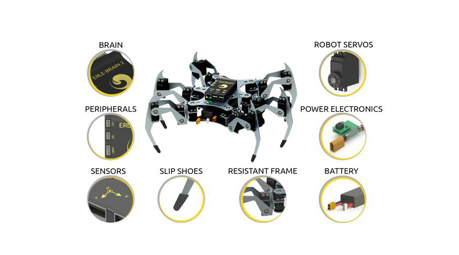 beviser miles Mexico Erle-Spider, the Ubuntu drone with legs - Robohub