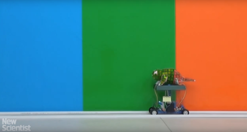Mechanical Chameleon through Dynamic Real-Time Plasmonic Tuning. Source: Wired UK/youtube