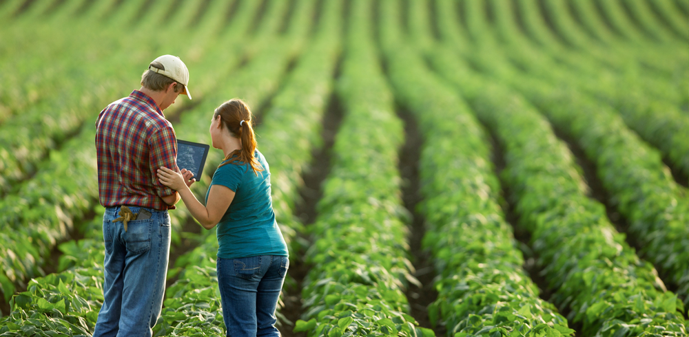 Farming 