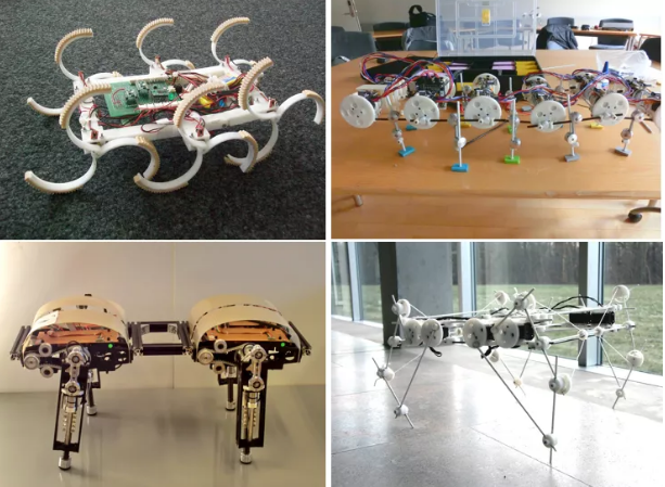 Researchers are creating robots that can move in a variety of environments, just like the animals that inspire them. Images courtesy of Locomorph