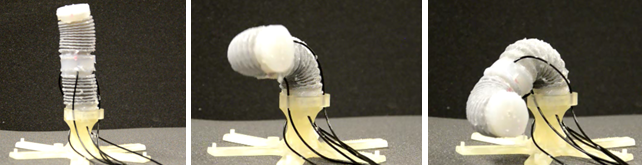 Researchers have developed a prototype of an arm that can stiffen or become flexible on demand. Image courtesy of StiffFlop