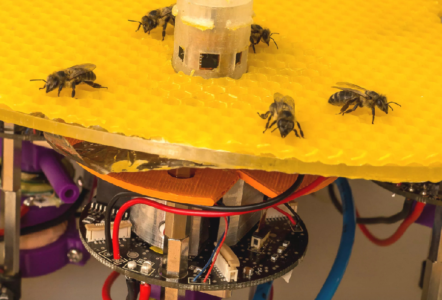 Researchers are studying bees to make robotic versions that can help beekeepers look after their hives. Image courtesy of ASSISIbf