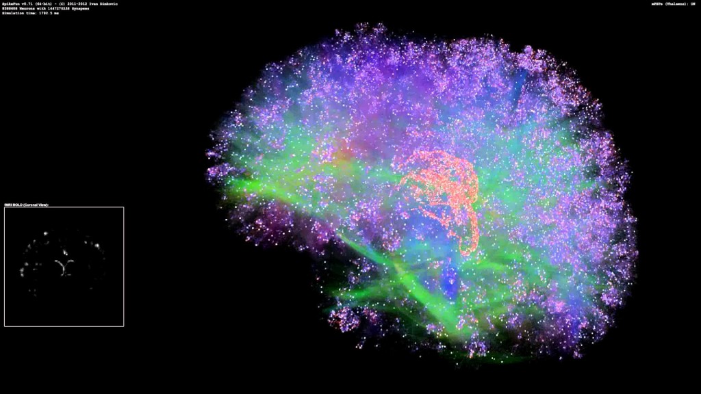 Artificial Brain Simulation. Source: digicortex/YouTube