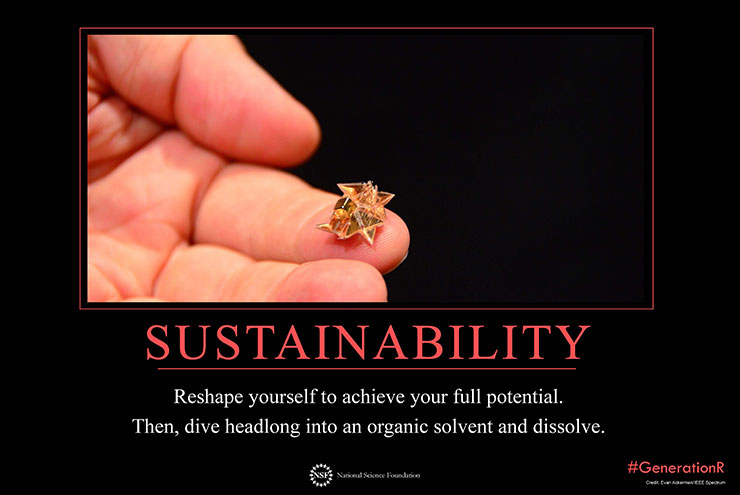 sustainability-motivational-poster