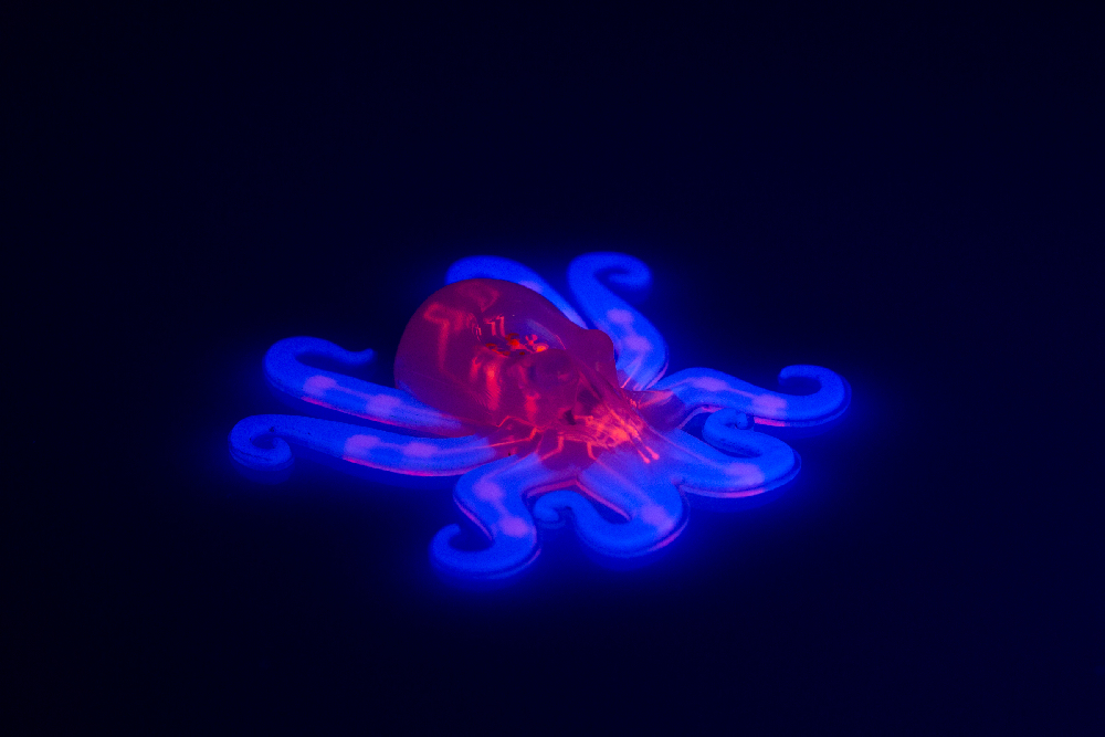 The octobot, here with fluorescently dyed fugitive inks (red) and hyperelastic actuator layers (blue), is fabricated by moulding and 3D printing. Image courtesy: Lori Sanders/Harvard SEAS