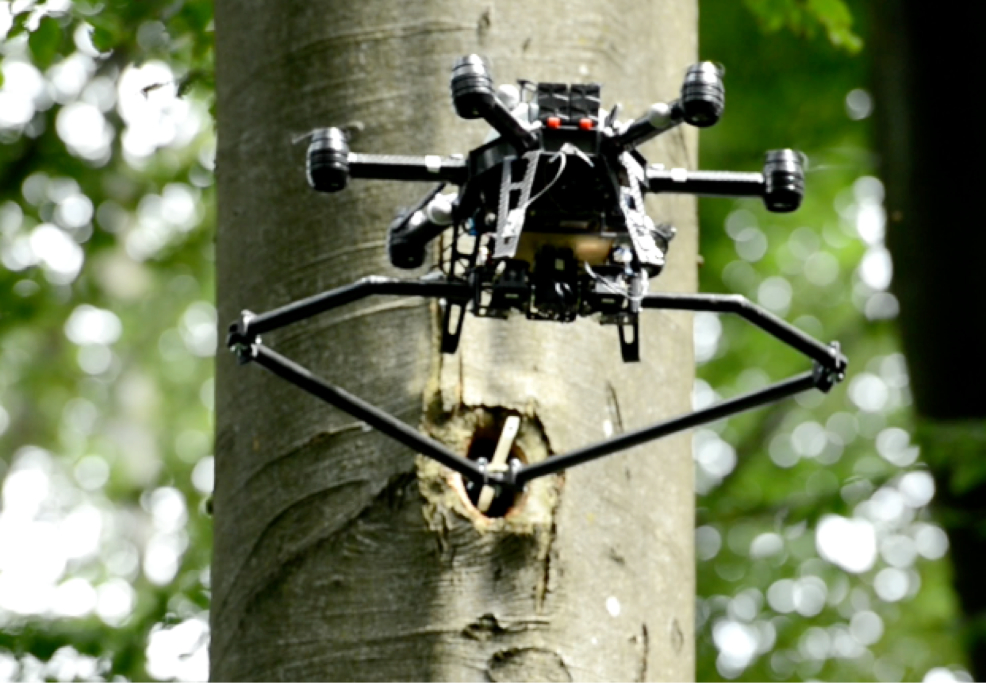 Tree cavity inspection using drones - Robohub