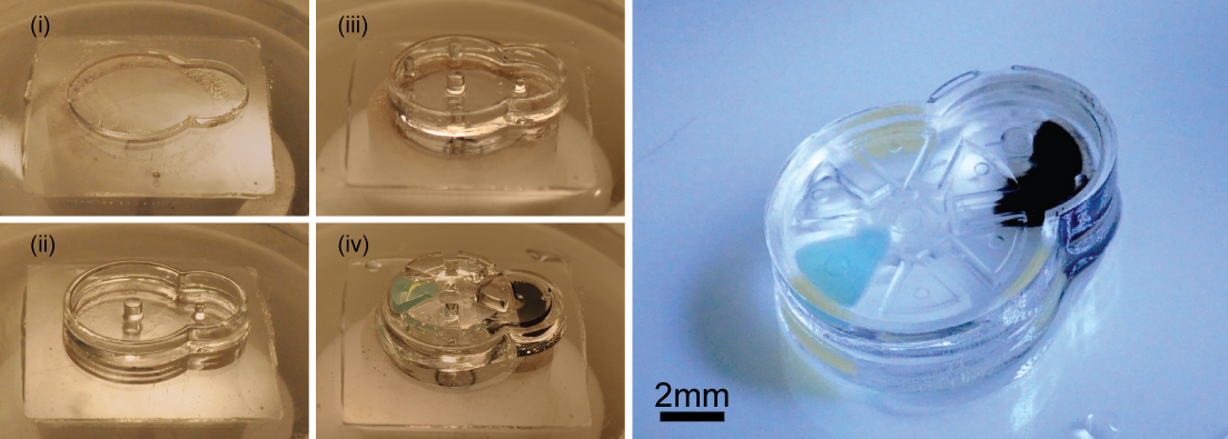 Fabrication and complete assembly of a Geneva drive device using the iMEMS method. The left panel shows the layer-by-layer fabrication of support structures and assembly of gear components. The image on the right shows the complete device after the layers have been sealed. Image: SauYin Chin, Columbia Engineering.