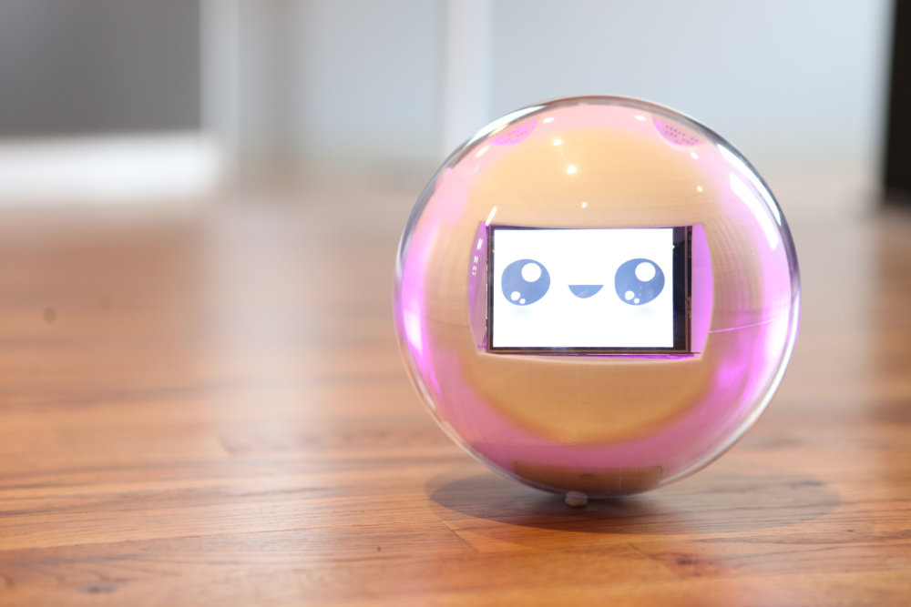 sphere robot toy