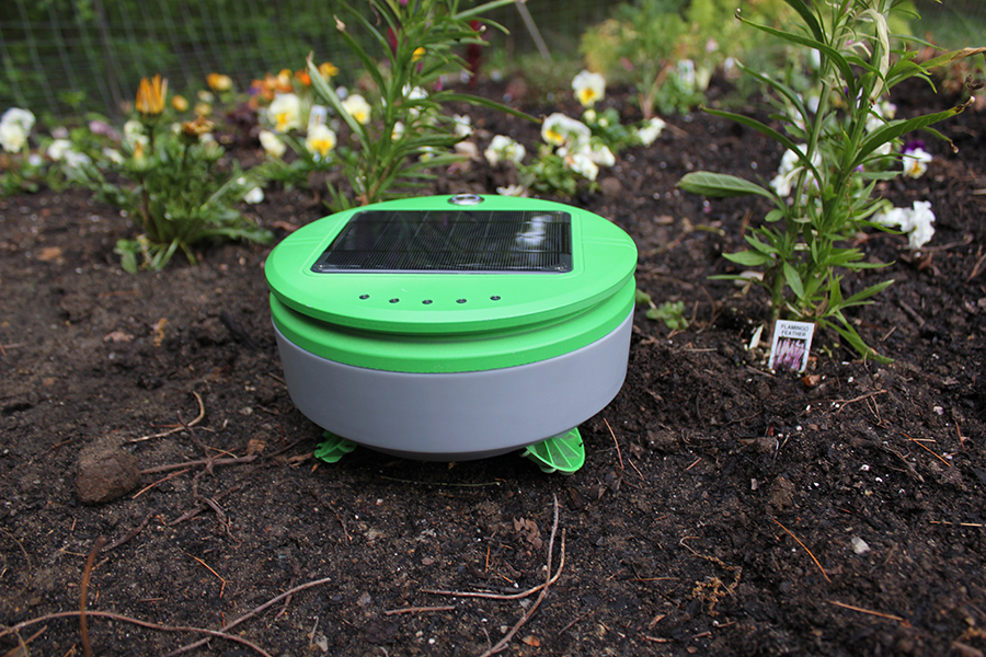 Tertill A Weed Whacking Robot To Patrol Your Garden Robohub