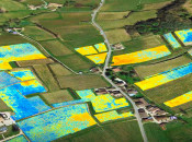 Using drones in wine making