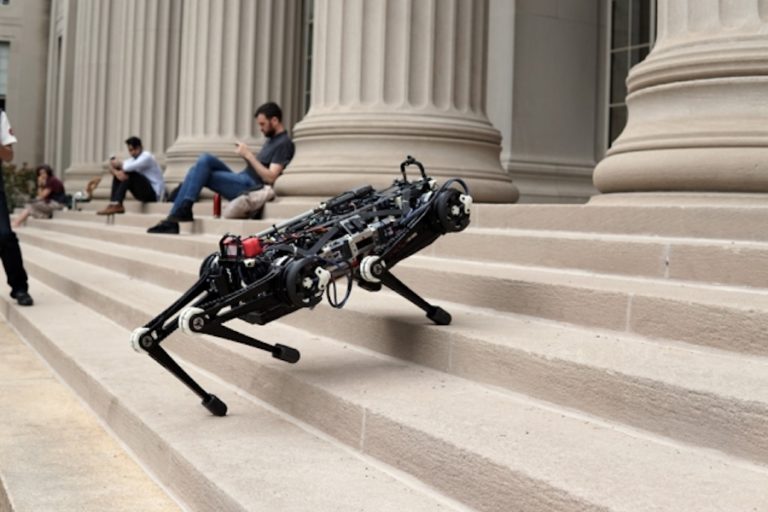 litter robot stairs