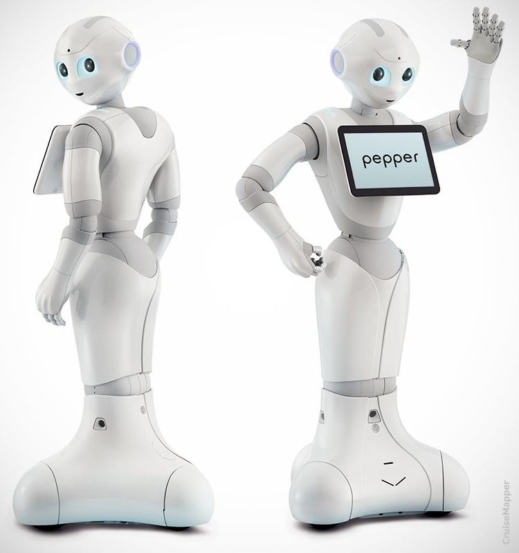 Pepper robot