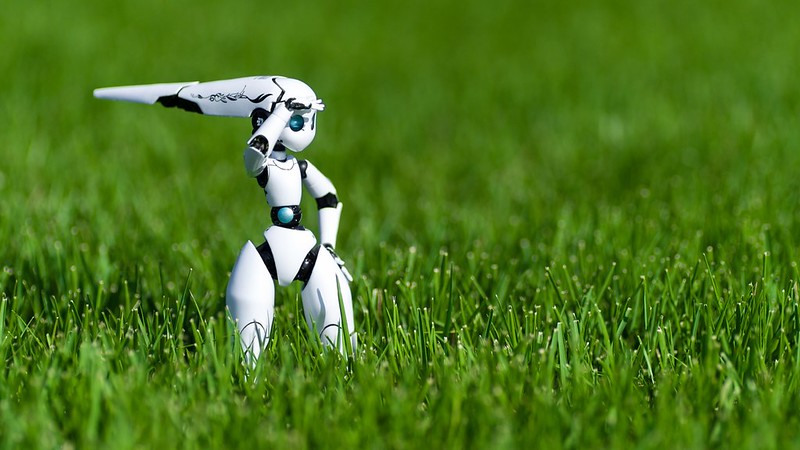 A robot in a field