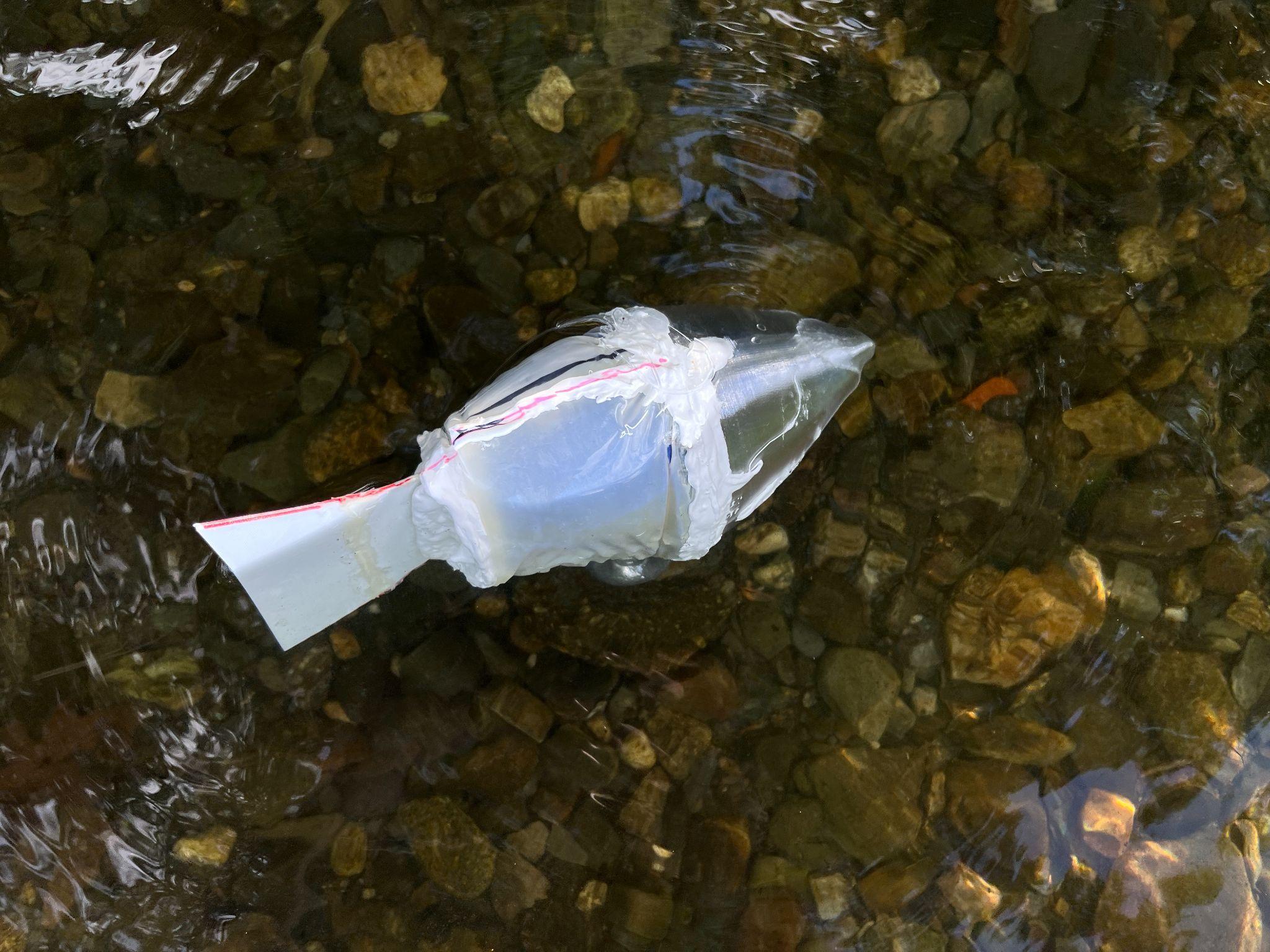 Soft robotic fish swims alongside real ones in coral reefs, MIT News