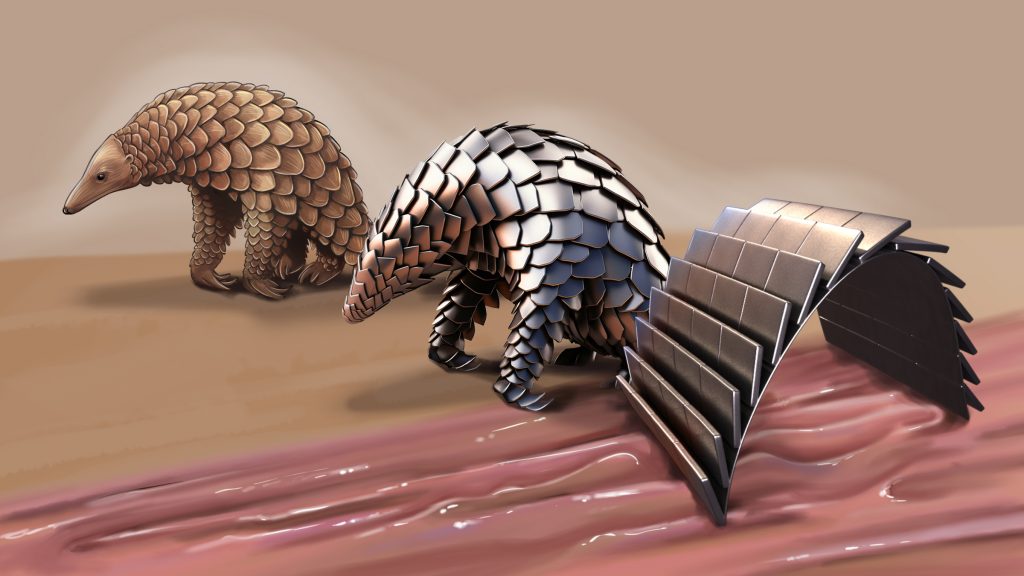 Pangolin the inspiration for medical robotic