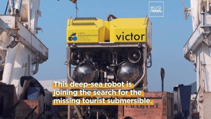 Read more about the article Submersible robots that may fly