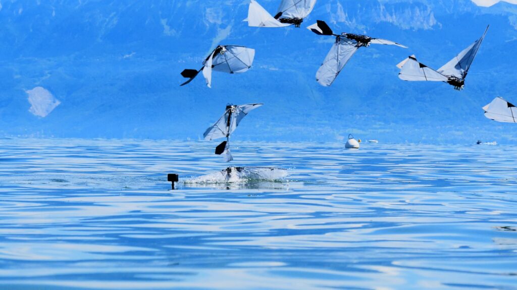 A flapping robot swims and flies like a diving bird
