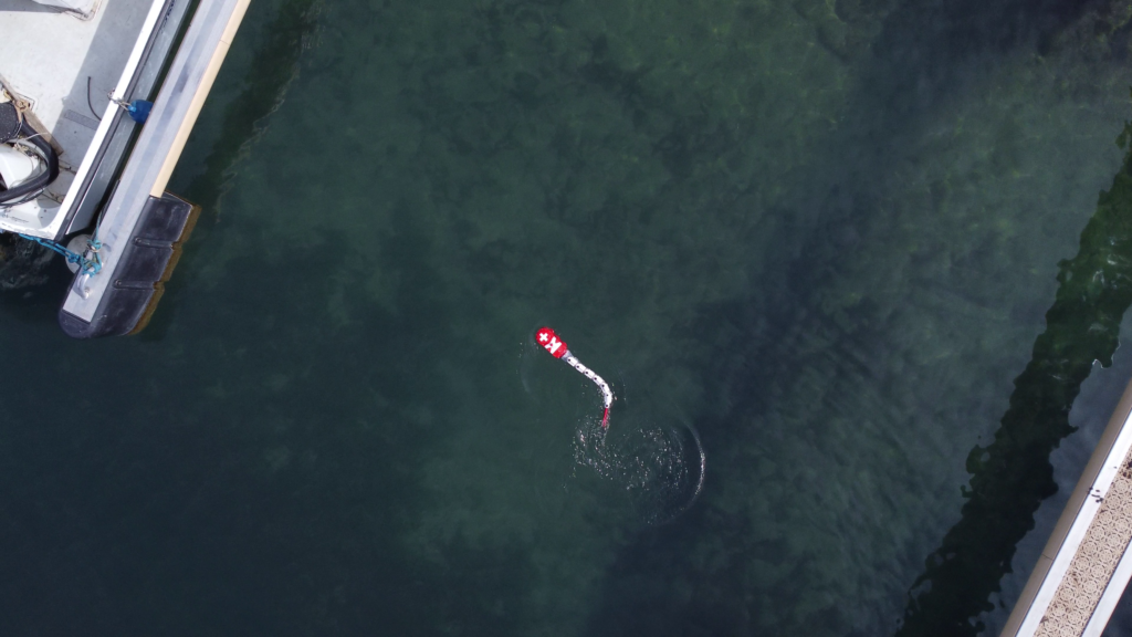 Intermittent swimming promotes the energy efficiency of fish-like robot
