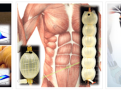 Bio-inspired Soft Robots for Healthcare